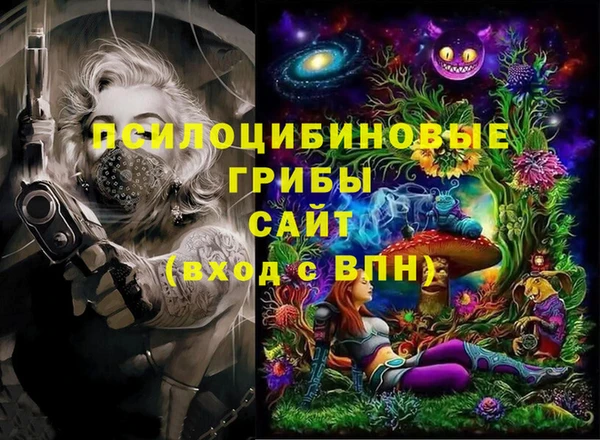 ешки Покачи