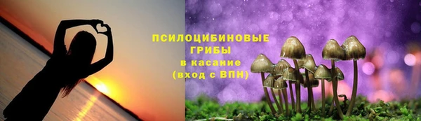 гидра Армянск