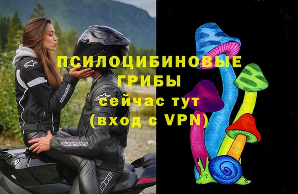 тгк Арсеньев